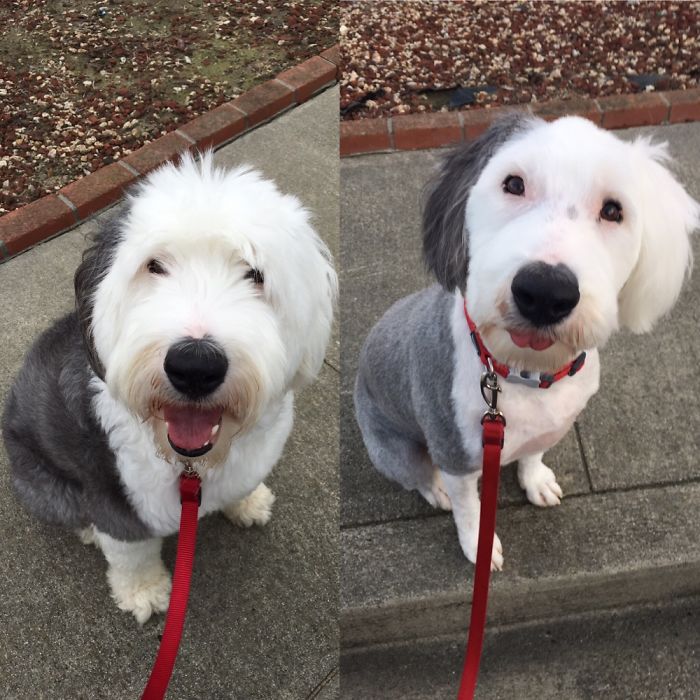 Before And After Haircut