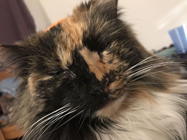 When I Tell Her She's Getting An Adopted Little Brother