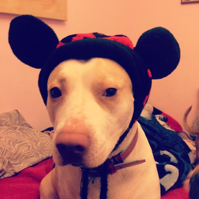 She Secretly Loves It