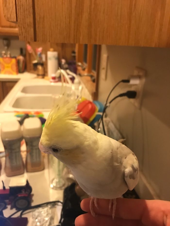 Hates His Picture Taken Soooooo Much