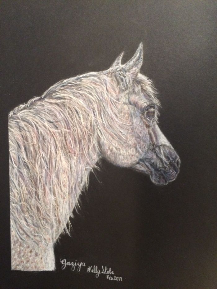 My Best (horse) Friend Who Has Been With Me Nearly 24 Years