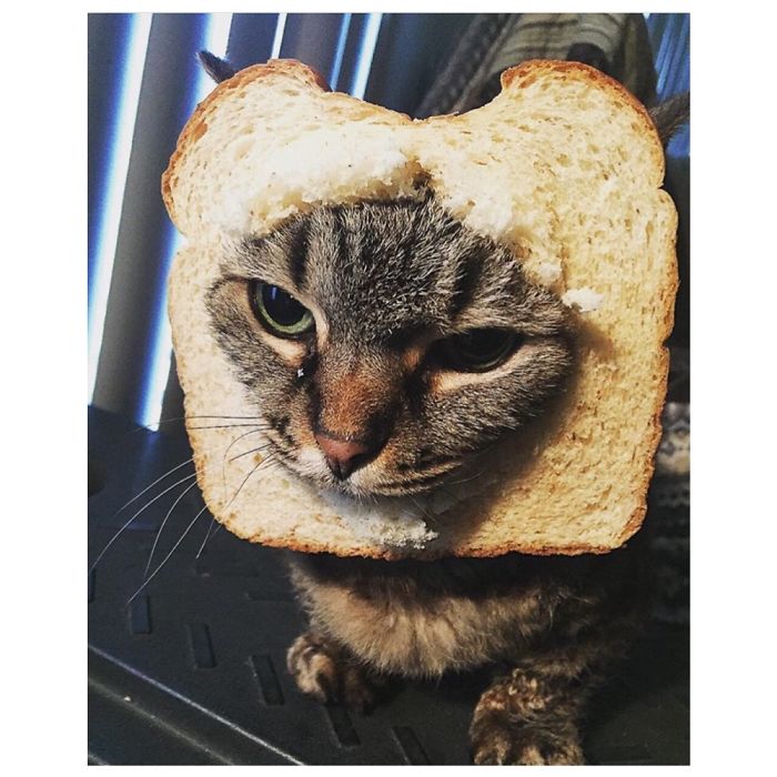 I Mean Who Hasn't Tried This? I Also Fear For My Life Now🤣