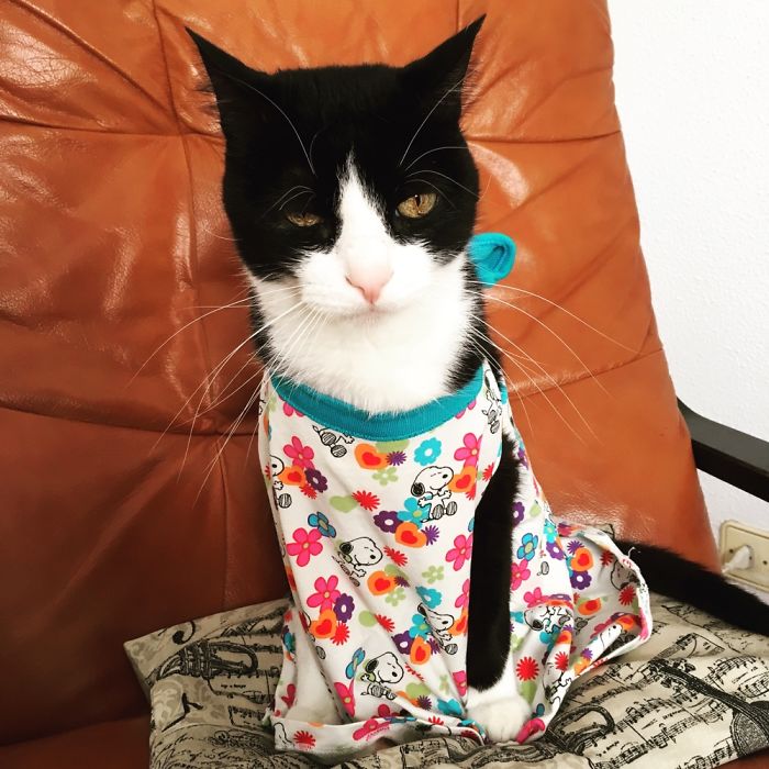 I'll Kill You...later