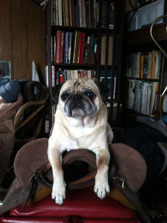 Getting Ready To Hit The Trails.