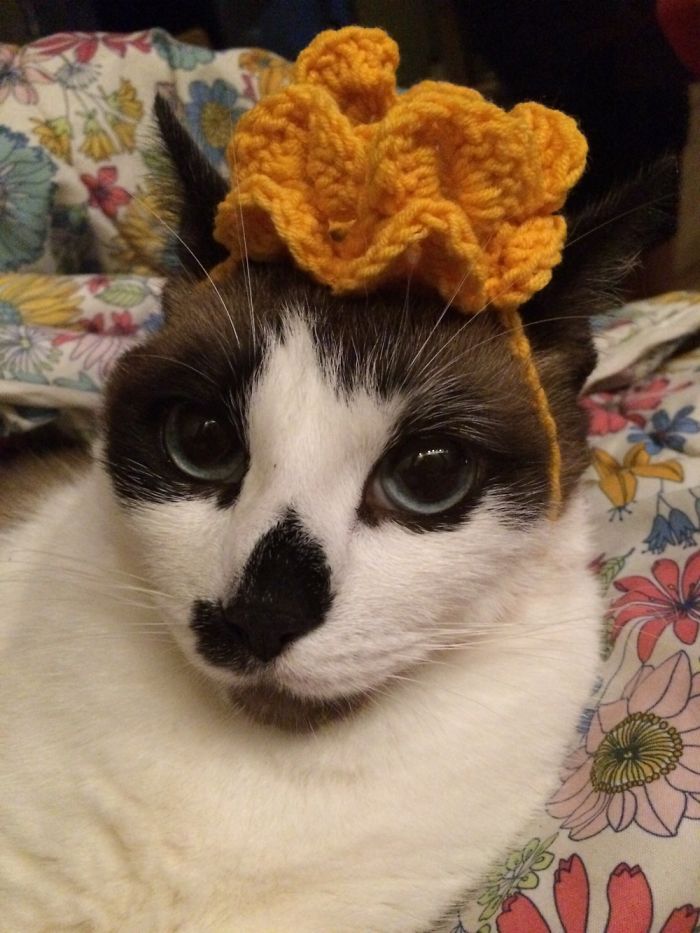 She's Not Really Happy With Being A Queen