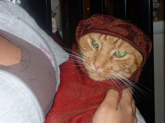 Let Me Tell You Your Future