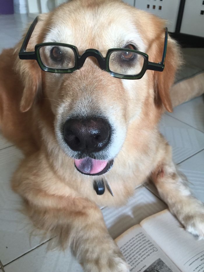 May I Help You Darling???