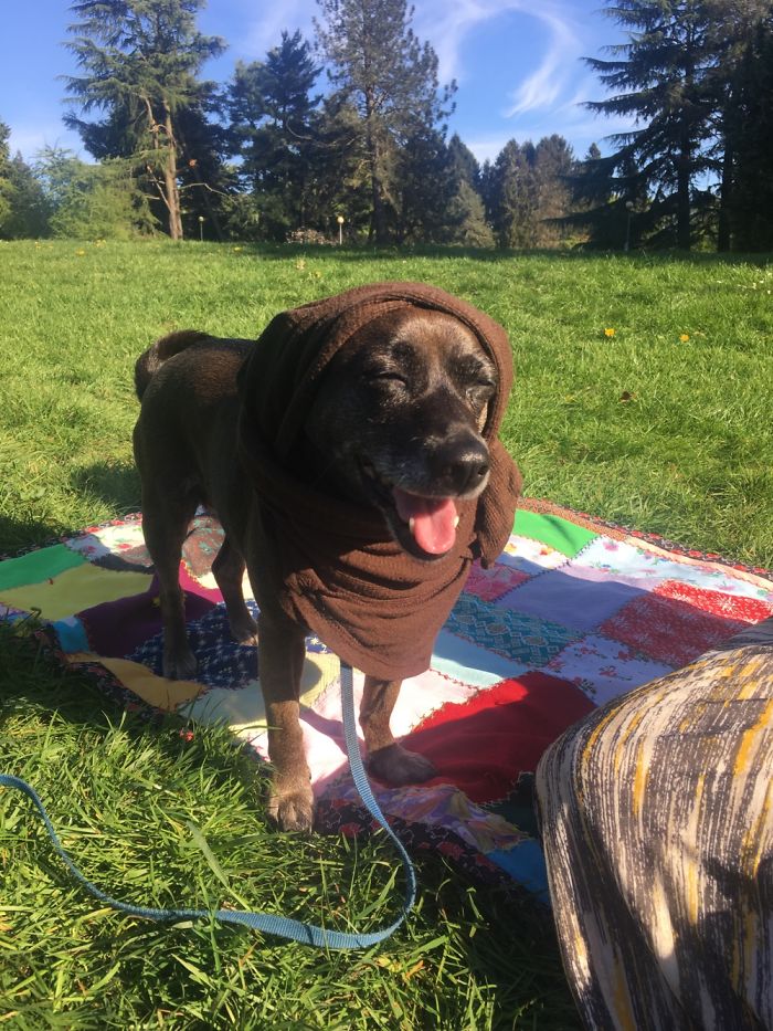 Got To Watch Out For Those Uv Rays