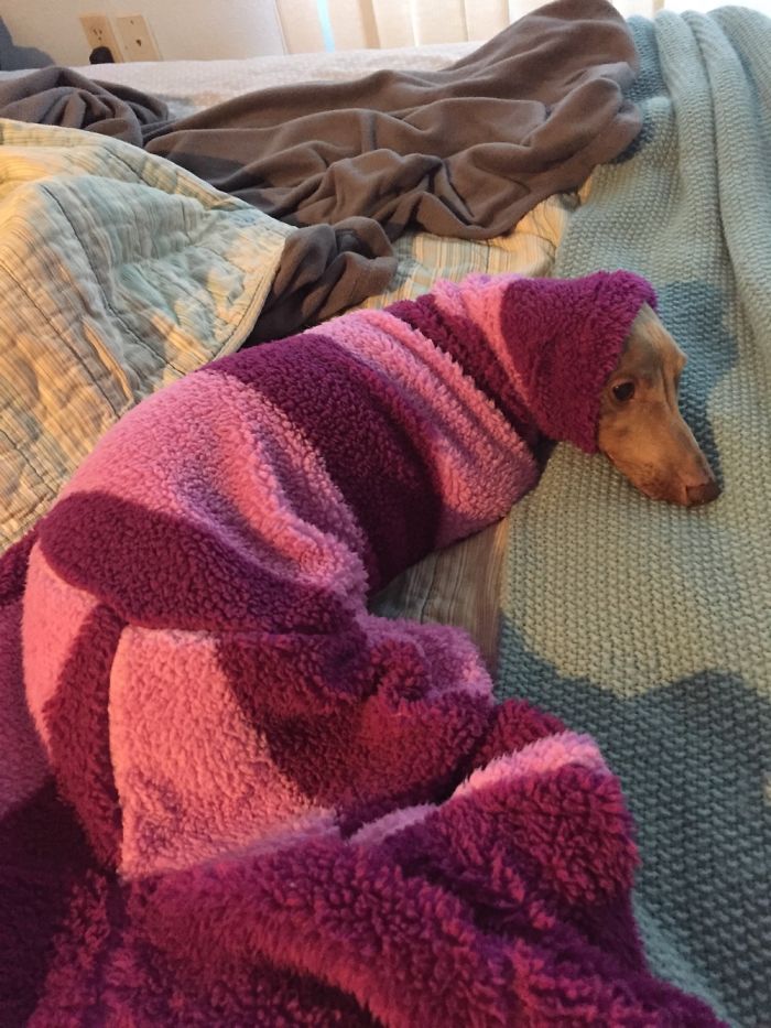 My Mom Thought It Would Be Hilarious To Make Me Into A Striped Worm.......i'm Not Laughing.