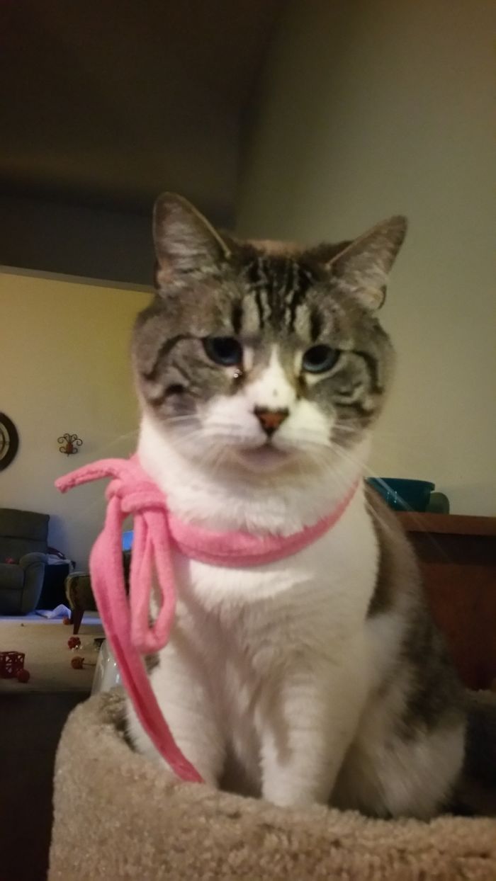 I'm Going To Kill You When You Are Asleep