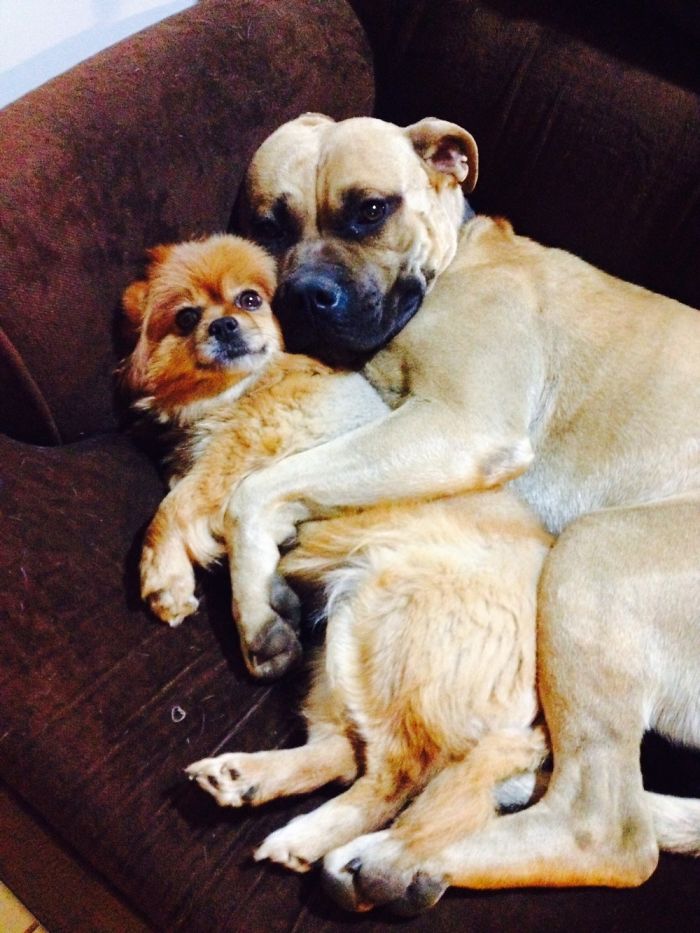 Can You Tell There's Not Much Love Between These Two?