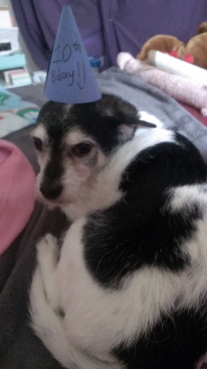 It's My Birthday And I'll Frown If I Want To.