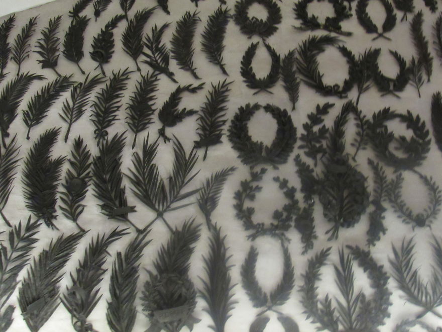 9 Year Old Wants To Become Photographer And Does