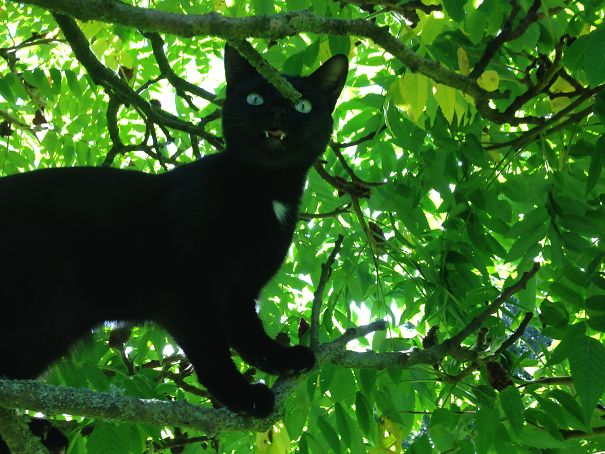 Something Just Wrong With Her!