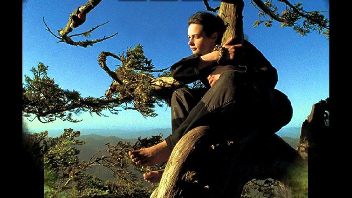 Julia Butterfly Hill, Environmental Activist Who Lived In A 180 Foot Redwood Tree For 738 Days To Protest Deforestation