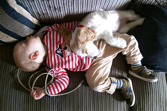 My Puppy Likes To Sleep On The Baby
