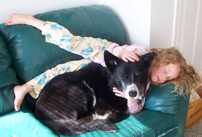 Here Is My Baby Girl And Dog Aries. She Would Often Wake From Night Terrors And Go Find Him