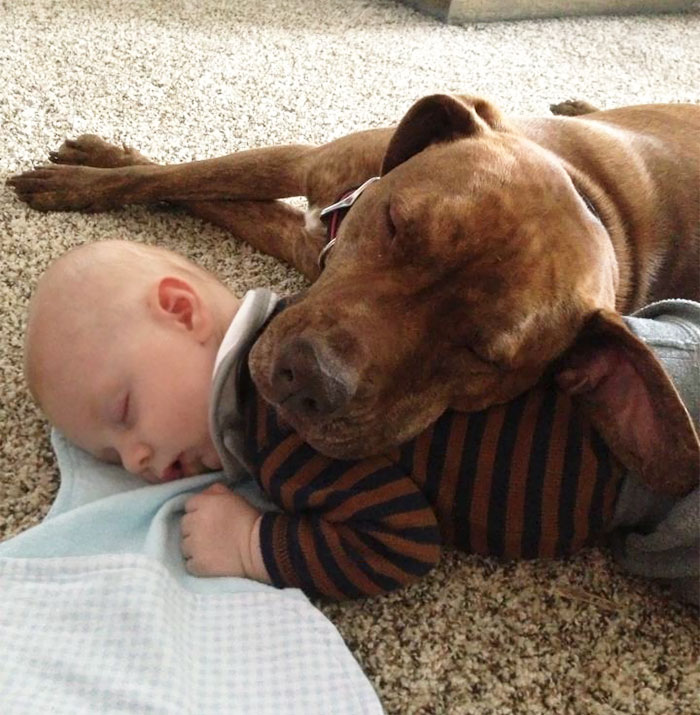 Babies Make The Best Pillows