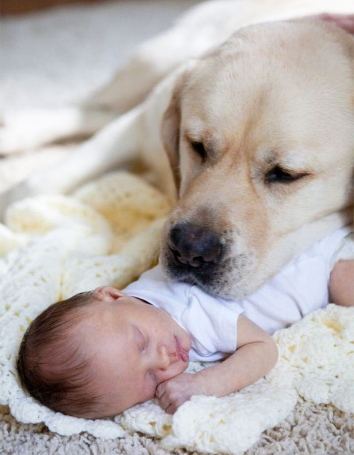 I Will Always Be There For You