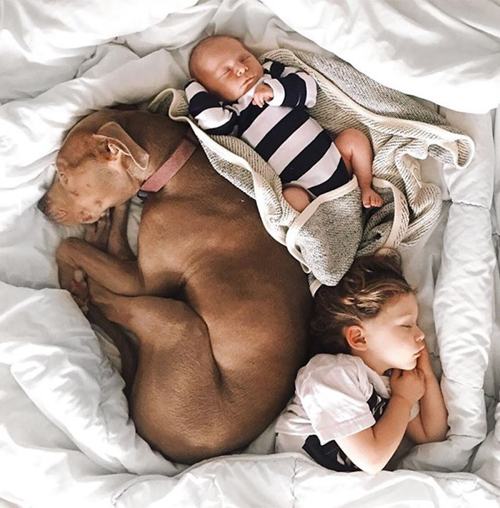 Two Brothers And Their Dog