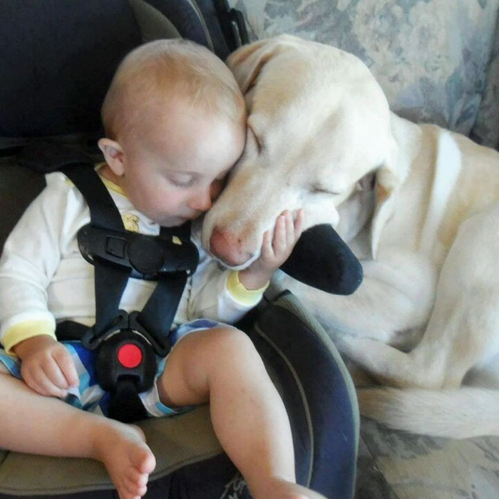 Little Guy Loves Sleeping With His Buddy