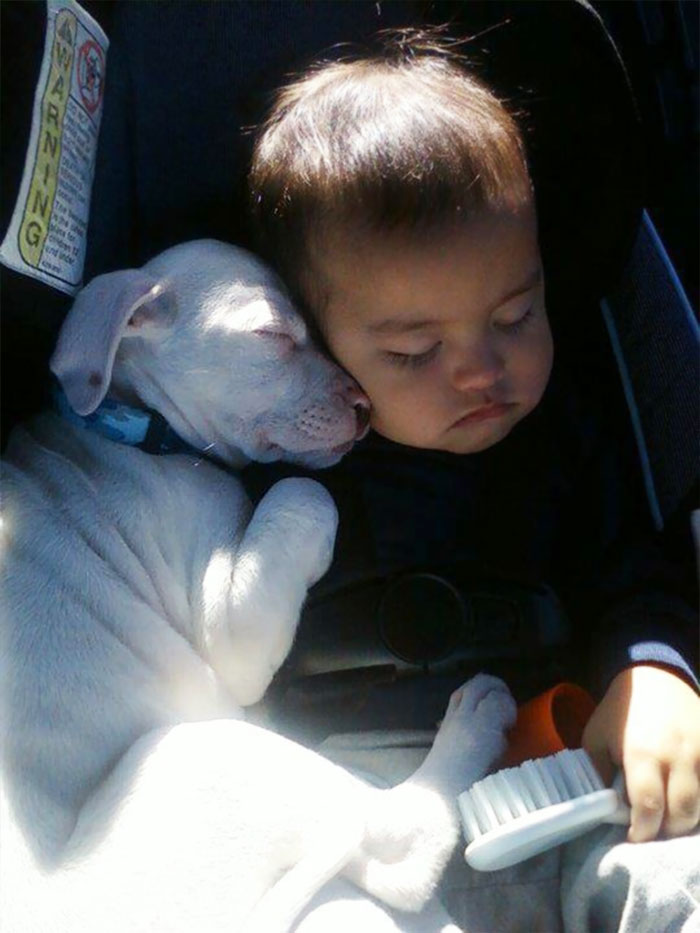 Family Trips Get Exhausting