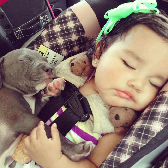 Cuties Sleeping Together