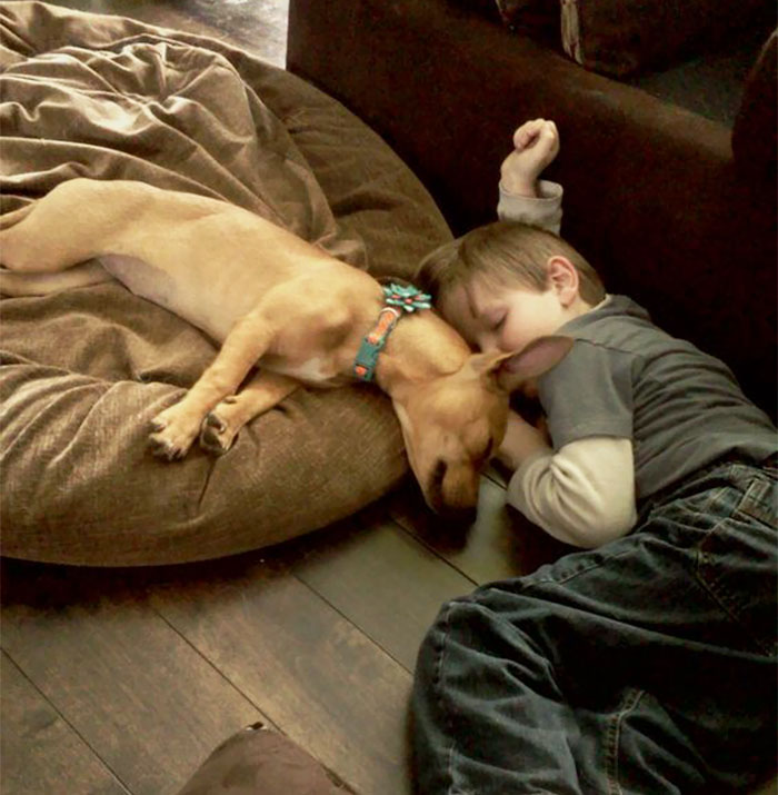 Comfort Doesn't Matter When You Have Your Best Friend By Your Side