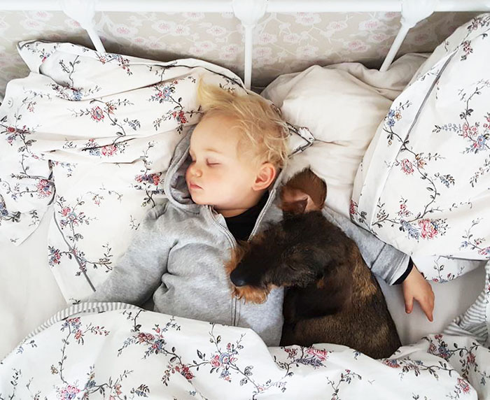 Best Sleeping Buddies