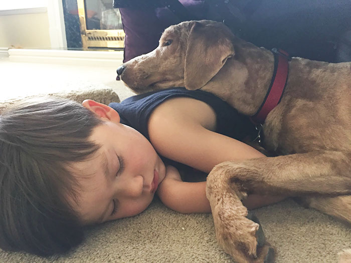 My Son And Our Puppy Reunited After 6 Weeks Apart