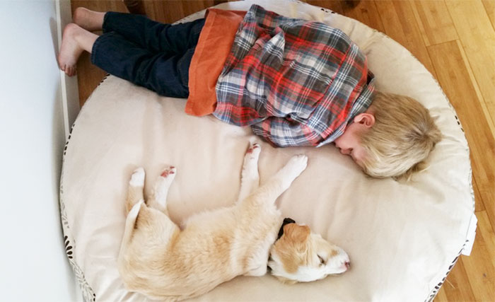 Got Our First Puppy, I Think My Son Likes Him