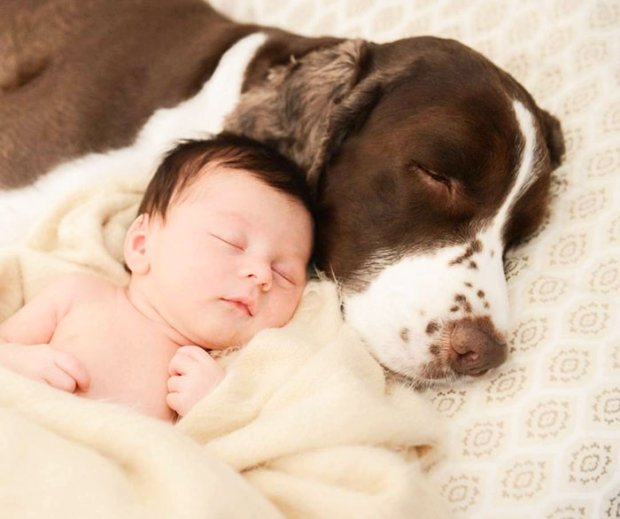 Shhh... The Babies Are Sleeping