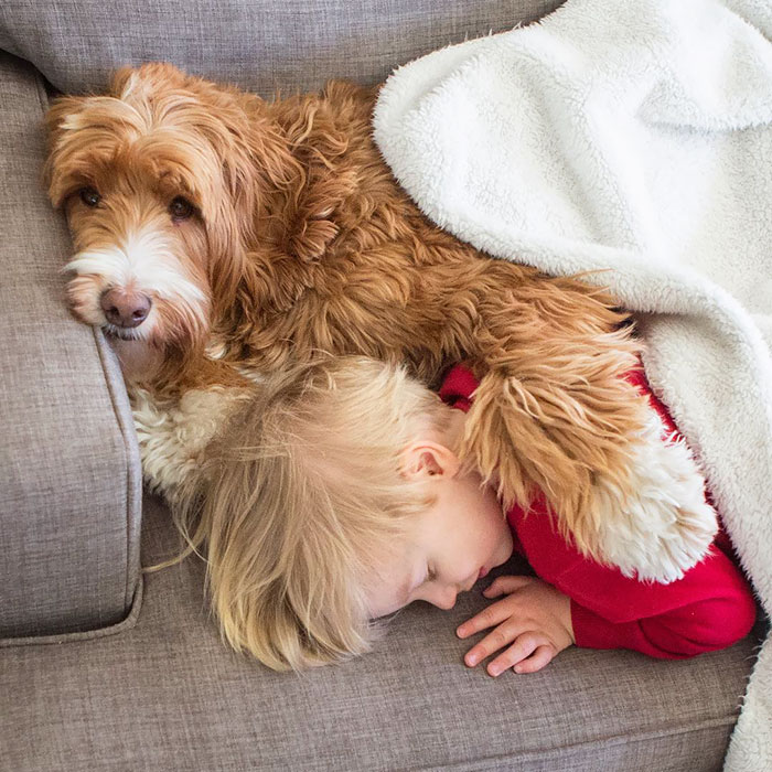 Pro Tip: Nap Daily. Preferably With A Buddy