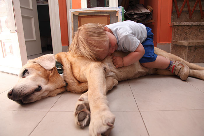 Baby Boy Sleeping On A Dog