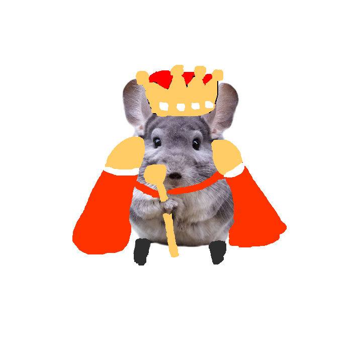 King Chinchilla