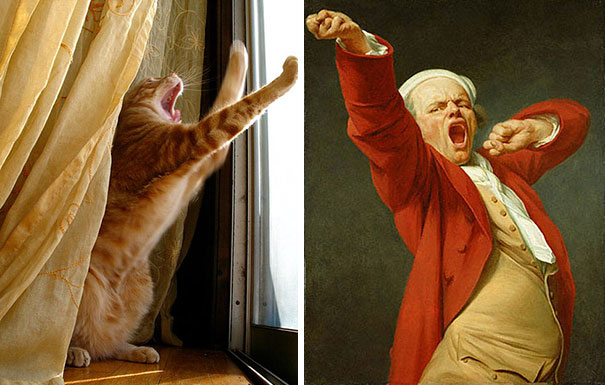 Cat And Joseph Ducreux's “self Portrait Yawning”