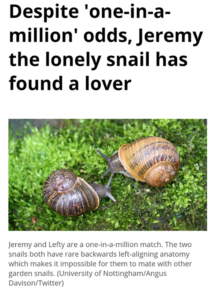 This One-in-a-million Love Story