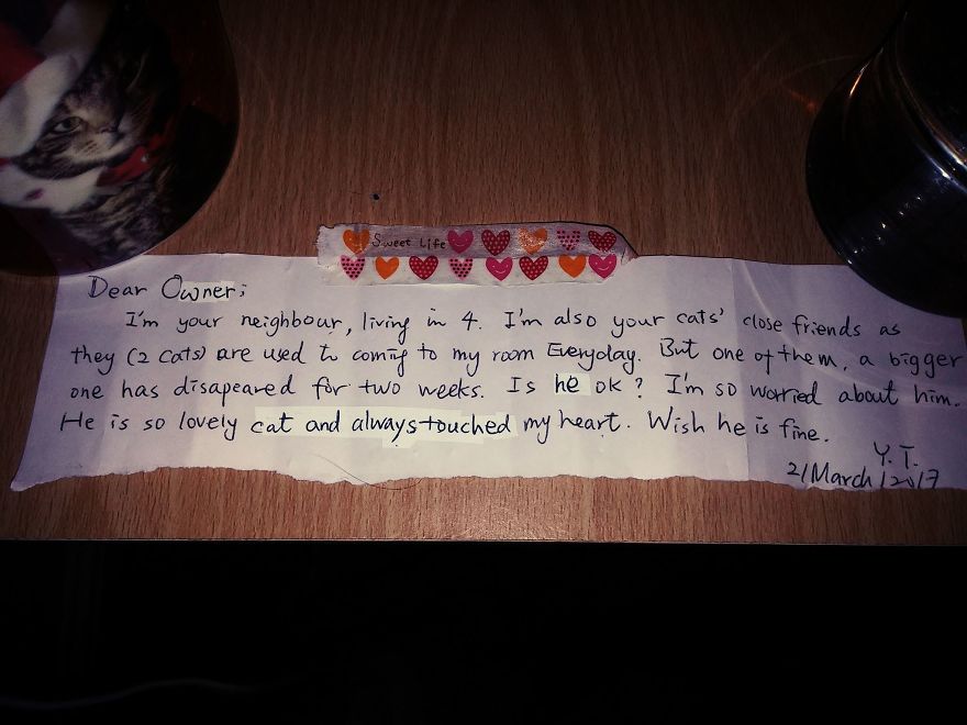 After Losing A Cat, This Couple Found A Note From A Stranger Revealing How Their Kitty Changed Her Life After Losing A Cat, This Couple Found A Note From A Stranger Revealing How Their Kitty Changed Her Life