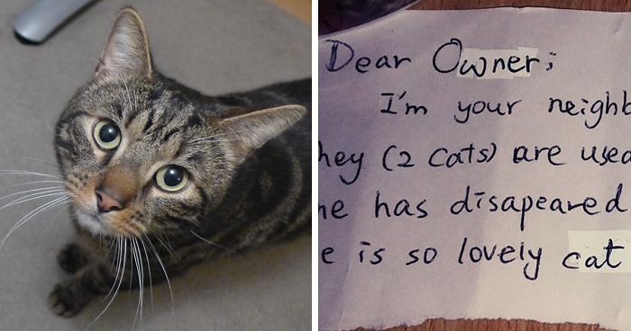 After Losing A Cat, This Couple Found A Note From A Stranger Revealing How Their Kitty Changed Her Life