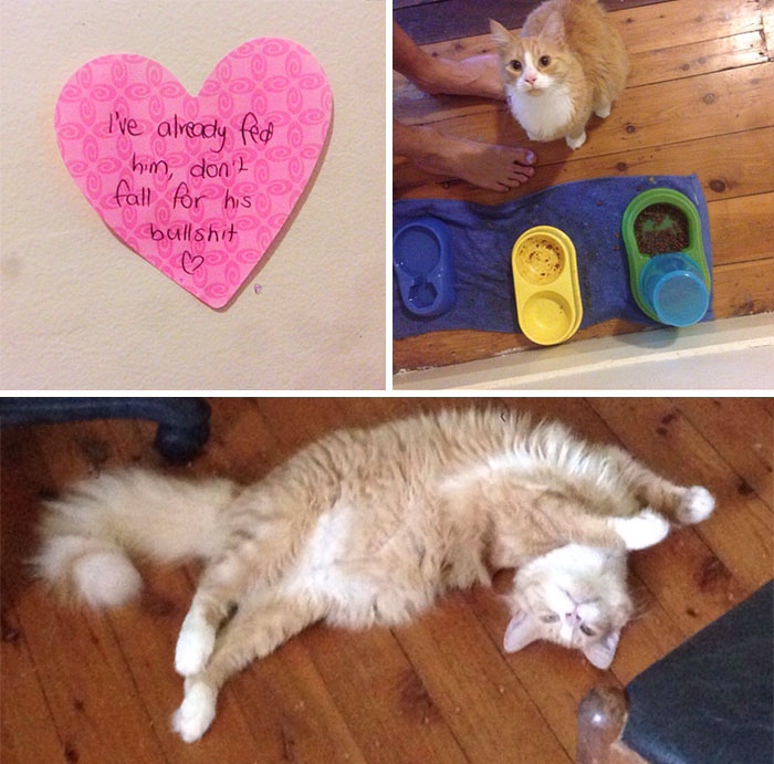 Wife Left Me A Very Useful Note This Morning