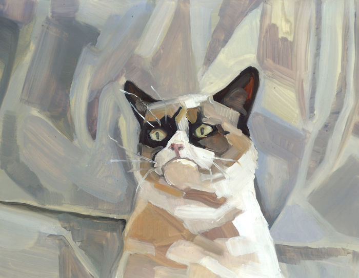 Grumpy Cat
