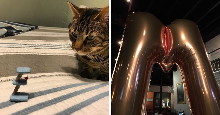 61 People Who Deeply Regret Shopping Online