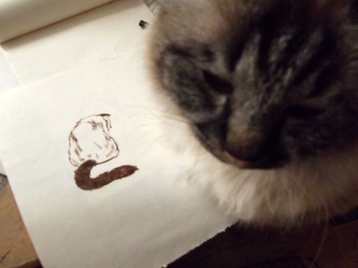 Minimalistic Approach Of My Cat "fluff".