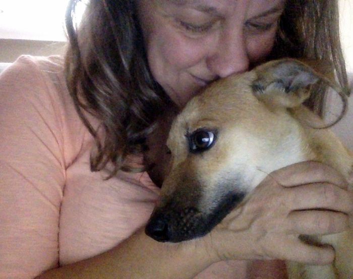 This Paralyzed Dog Dragged Her Legs For Miles Hoping Someone Would Help Her