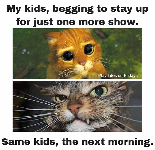 Parenting memes featuring a cute cat begging to stay up contrasted with a grumpy cat the next morning.