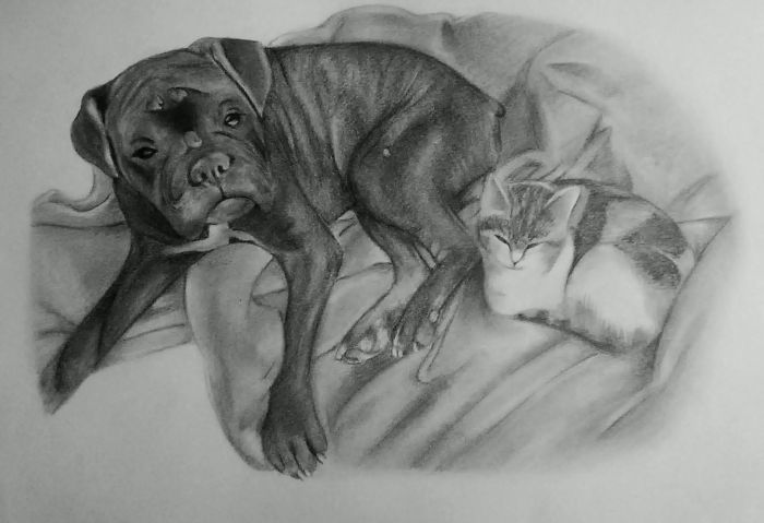 My Friend's Sweethearts