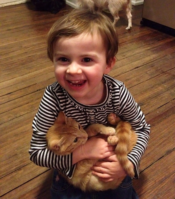 The Day We Got Our 3 Year Old Daughter Her First Kitten