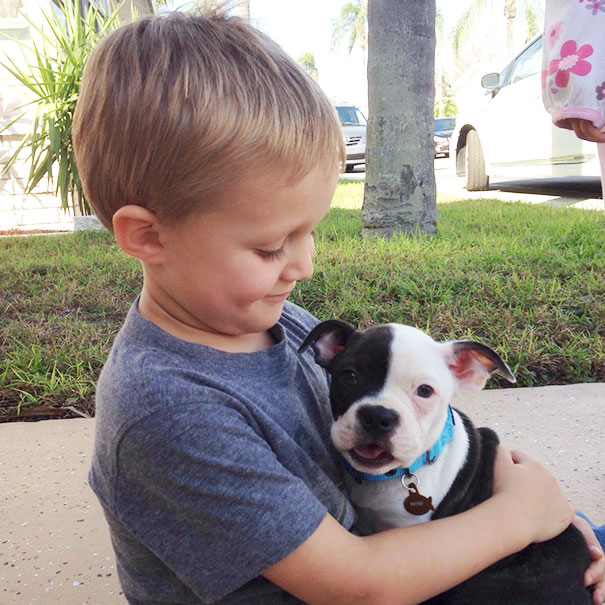 My Boy Meeting His New Pup For The First Time