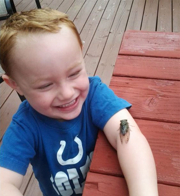 My Nephew Met A Cicada For The First Time Today
