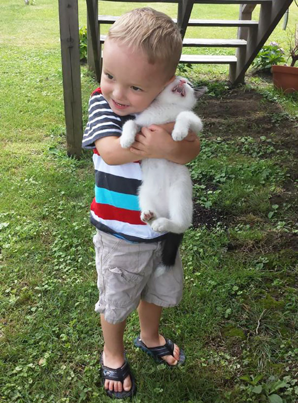 My Son's First Time Holding A Kitten. Kitty Was Not Amused